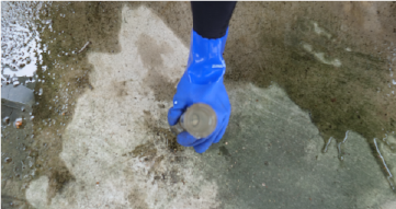 浄化槽点検作業②